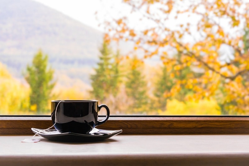 a cup of tea in front of a window with autumn view