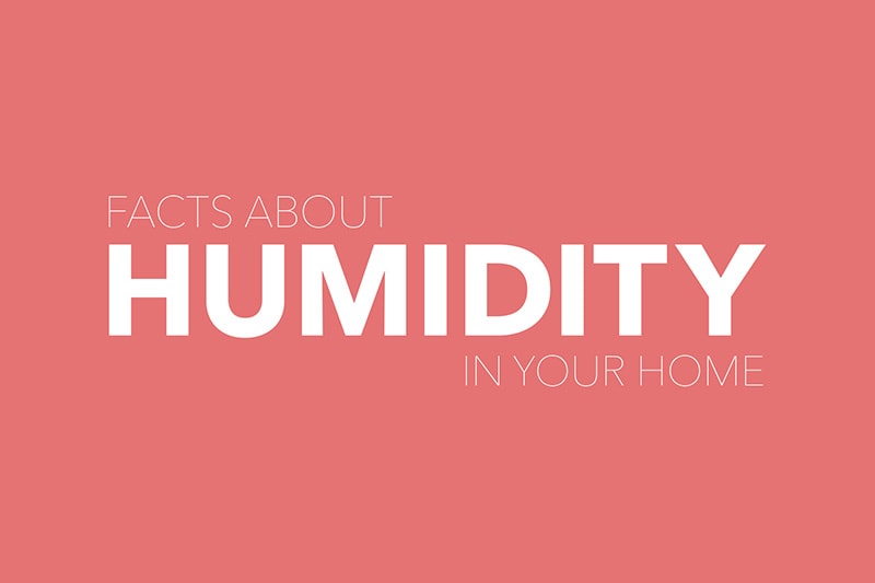 Video - Facts About Humidity. Text 